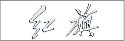 紅旗與上海展覽公司棣美達成展會(huì )設計合作